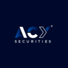 ACY Capital Group